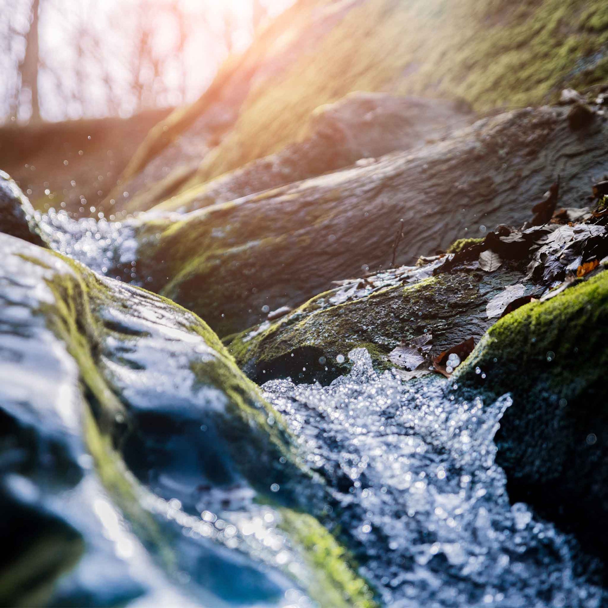 Kristallklares Quellwasser, das zwischen Felsen aus alpinem Gestein entspringt – Sinnbild für Reinheit und Ursprünglichkeit