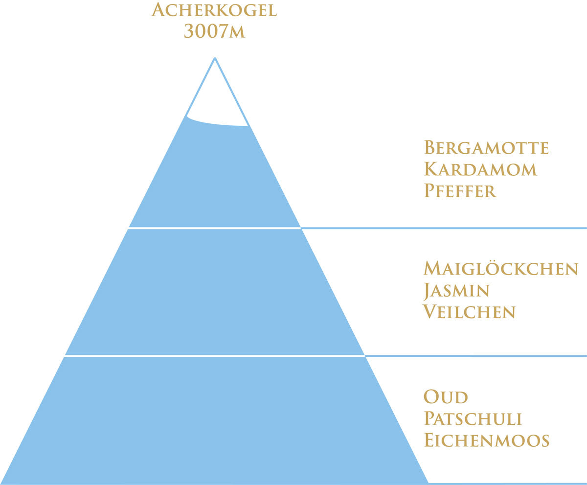 Oud 3007 Duftpyramide